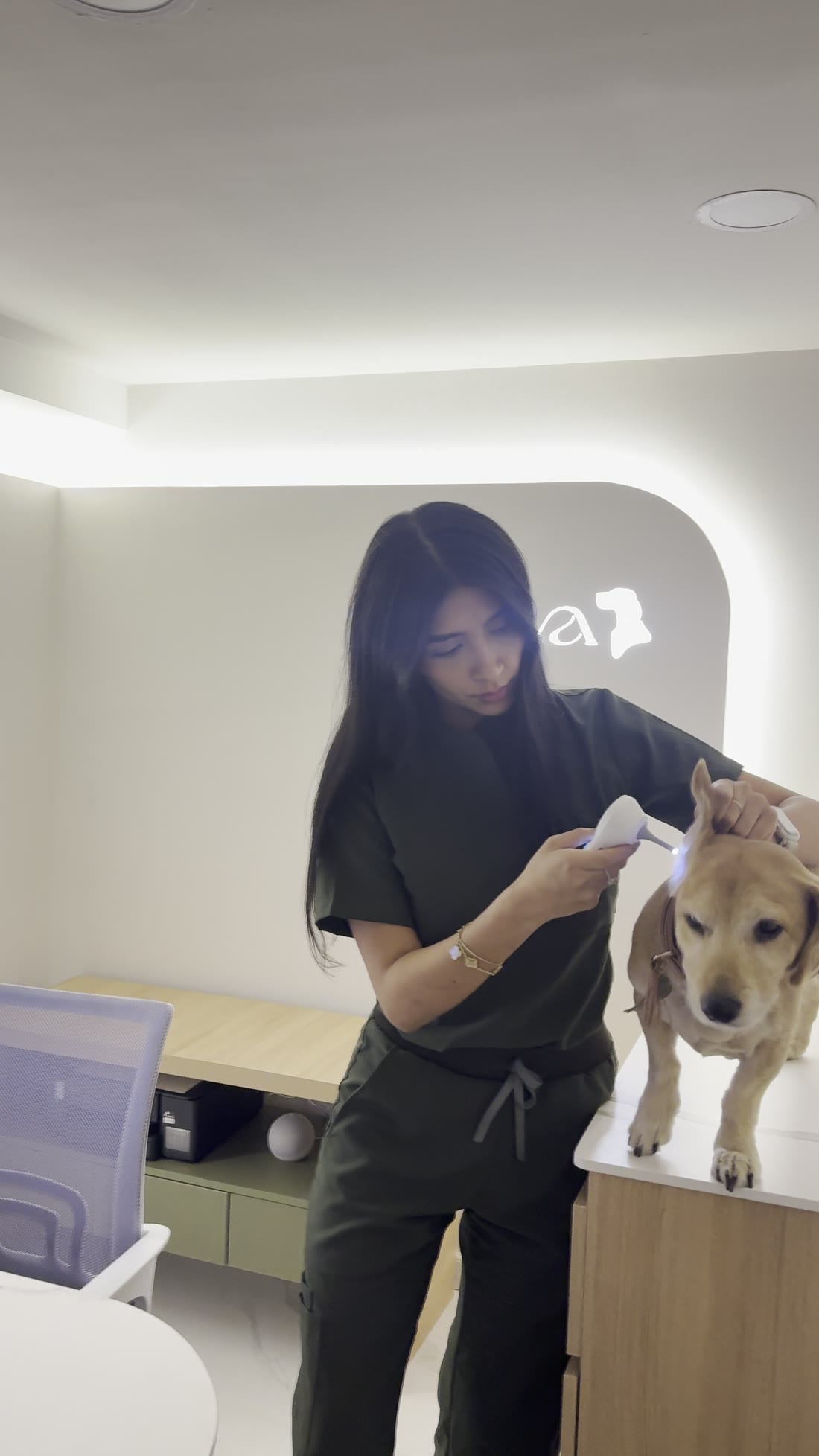 Auxiliar veterinaria revisando a un cachorro